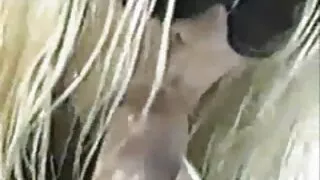 একটি ব্যবসায়িক সেক্স ভিডিও চুদাচুদি মিটিং এ কর্মচারী গাধা মধ্যে অপেশাদার.