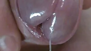 জুয়াড়ি ভাই এর বন্ধু মিনি সেক্স ভিডিও সঙ্গে অপেশাদার.