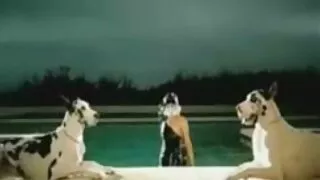 একটি কালো মহিলার একটি পিকআপ মোরগ তার রোমান্টিক সেক্স ভিডিও কালো ভগ টান.